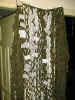 PIC00001.jpg (63366 Byte)